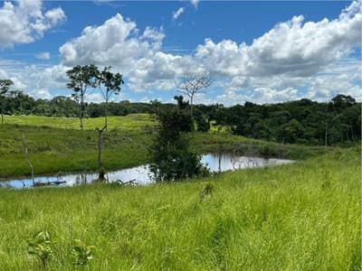 Foto 2 de 10: Area Rural em leilão em Alta Floresta D'oeste - RO — IMÓVEL RURAL | A.T. 49,79 HA | ALTA FLORESTA DOESTE/RO