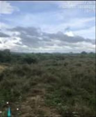 Foto 8 de 9: Terreno em leilão em Santana Do Araguaia - PA — 04 IMÓVEIS RURAIS NO LOT. COLÔNIA VERDE BRASILEIRA EM SANTANA DO ARAGUAIA-PA