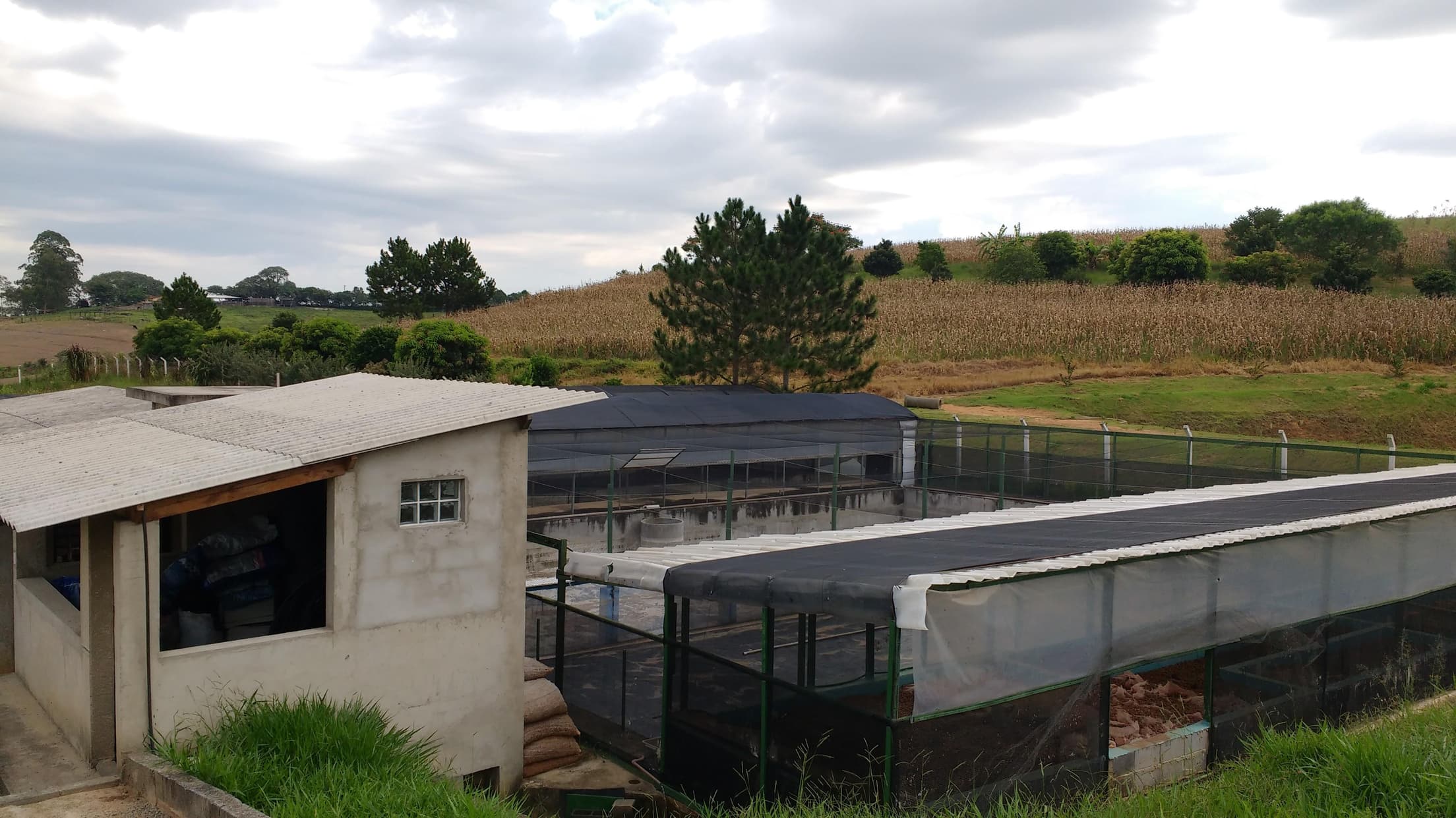 Foto 10 de 11: Casa em leilão em Araçoiaba Da Serra - SP — Chácara c/ 20.000m², Desocupada, com Sistema de Piscicultura e Ranicultura no Bairro Do Jundiacanga, Araçoiaba da Serra/SP