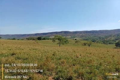 Foto 4 de 8: Area Rural em leilão em Rio Branco - MT — IMÓVEL RURAL | A.T 27,50 HA - SÍTIO DOIS IRMÃOS | RIO BRANCO/MT.