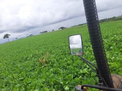 Foto 2 de 5: Area Rural em leilão em Nova Bandeirantes - MT — IMÓVEL RURAL | 31,5324 HA - ESTÂNCIA SOL NASCENTE | NOVA BANDEIRANTES/MT