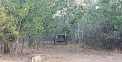 Foto 7 de 8: Area Rural em leilão em Dois Irmãos Do Tocantins - TO — IMÓVEL RURAL | 144,57,04HA | FAZ. PIONEIRA I EM DOIS IRMÃO DO TOCANTINS/TO - EXPLORAÇÃO DE AGROPECUÁRIA