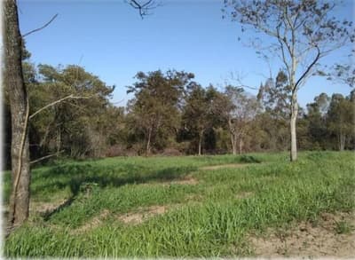 Foto 7 de 18: Terreno em leilão em Nova Esperança - PR — IMÓVEL URBANO - VENDA DE TRÊS MATRÍCULAS EM CONJUNTO- Em NOVA ESPERANÇA/PR