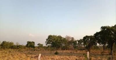 Foto 5 de 8: Area Rural em leilão em Dois Irmãos Do Tocantins - TO — IMÓVEL RURAL | 144,57,04HA | FAZ. PIONEIRA I EM DOIS IRMÃO DO TOCANTINS/TO - EXPLORAÇÃO DE AGROPECUÁRIA