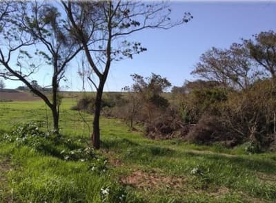 Foto 9 de 18: Terreno em leilão em Nova Esperança - PR — IMÓVEL URBANO - VENDA DE TRÊS MATRÍCULAS EM CONJUNTO- Em NOVA ESPERANÇA/PR