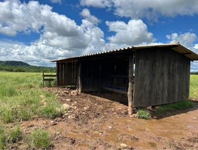 Foto 10 de 10: Area Rural em leilão em Alta Floresta D'oeste - RO — IMÓVEL RURAL | A.T. 49,79 HA | ALTA FLORESTA DOESTE/RO