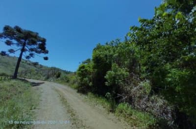 Foto 4 de 16: Area Rural em leilão em Pinhão - PR — Imóvel rural, 242.766,02 m², denominado Torres, Município e Comarca de Pinhão-PR
