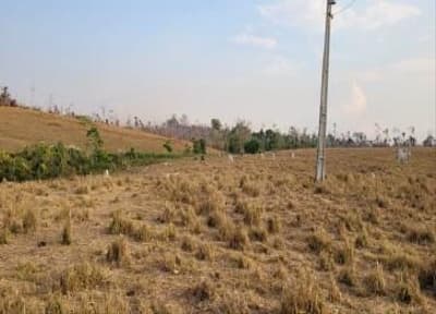 Foto 5 de 7: Area Rural em leilão em Nova Bandeirantes - MT — IMÓVEL RURAL | 202,1749 HA - FAZ. BOM SUCESSO GLEBA B | NOVA BANDEIRANTES/MT