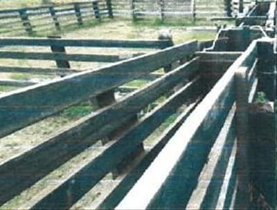 Foto 4 de 5: Area Rural em leilão em Acrelândia - AC — IMÓVEL RURAL, A.T.49.8541HA, COLÔNIA SÃO JOSÉ EM ACRELÂNDIA-AC