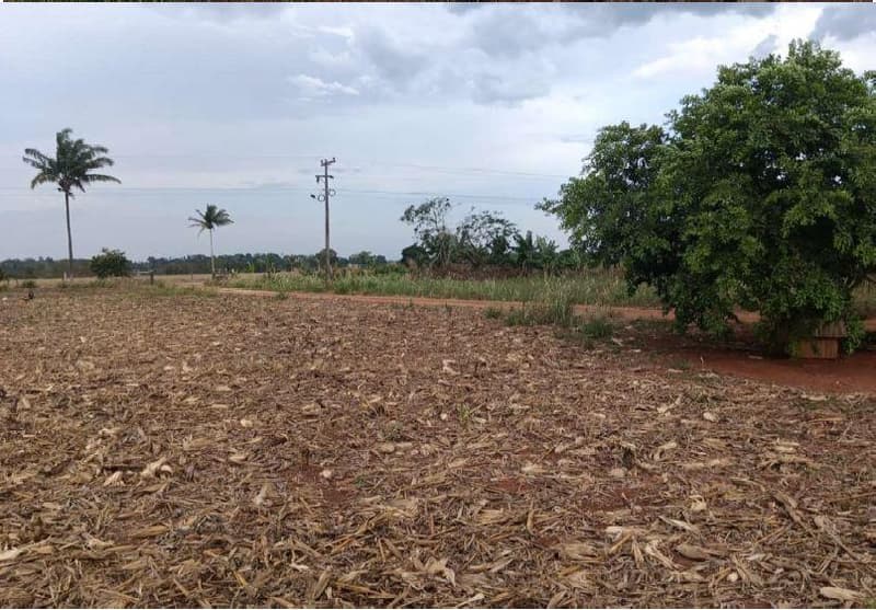 Foto 2 de 5: Area Rural em leilão em Cabixi - RO — IMÓVEL RURAL, 8.2305,59HA, CABIXI/RO - CULTIVO DE GRÃOS, BEIRA RODOVIA E APENAS 4KM DO PERÍMETRO URBANO