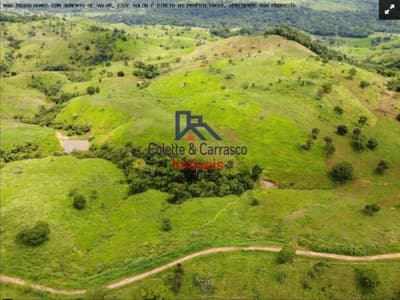Foto 8 de 10: Area Rural em leilão em Colorado Do Oeste - RO — IMÓVEL RURAL | GLEBA 34 | 45,7370HA - COLORADO DO OESTE/RO