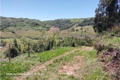 Foto 12 de 16: Area Rural em leilão em Pinhão - PR — Imóvel rural, 242.766,02 m², denominado Torres, Município e Comarca de Pinhão-PR