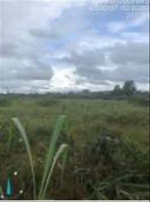 Foto 6 de 9: Terreno em leilão em Santana Do Araguaia - PA — 04 IMÓVEIS RURAIS NO LOT. COLÔNIA VERDE BRASILEIRA EM SANTANA DO ARAGUAIA-PA