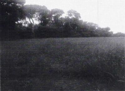 Foto 9 de 9: Area Rural em leilão em Bela Vista De Goiás - GO — IMÓVEIS RURAIS- VENDA CONJUNTA DE DUAS MATRICULAS- Em GOIAS/GO