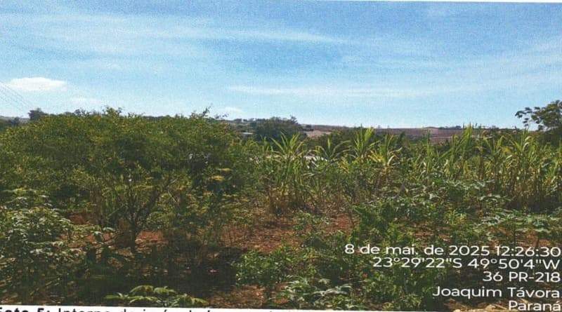 Foto 14 de 15: Terreno em leilão em Joaquim Távora - PR — IMÓVEL URBANO COM ÁREA TOTAL DE 1.635,8745 m2- Em SÃO ROQUE DO PINHAL, JOAQUIM TAVORA/PR