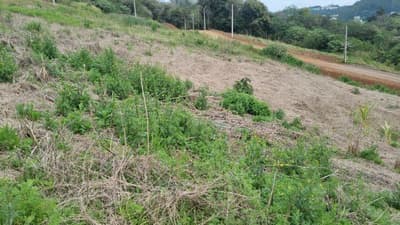 Foto 5 de 5: Terreno em leilão em Saudades - SC, bairro Saudades — LOTE URBANO Nº 09, DA QUADRA Nº 122, LOCALIZADO EM SAUDADES/SC ÁREA DE 360M²