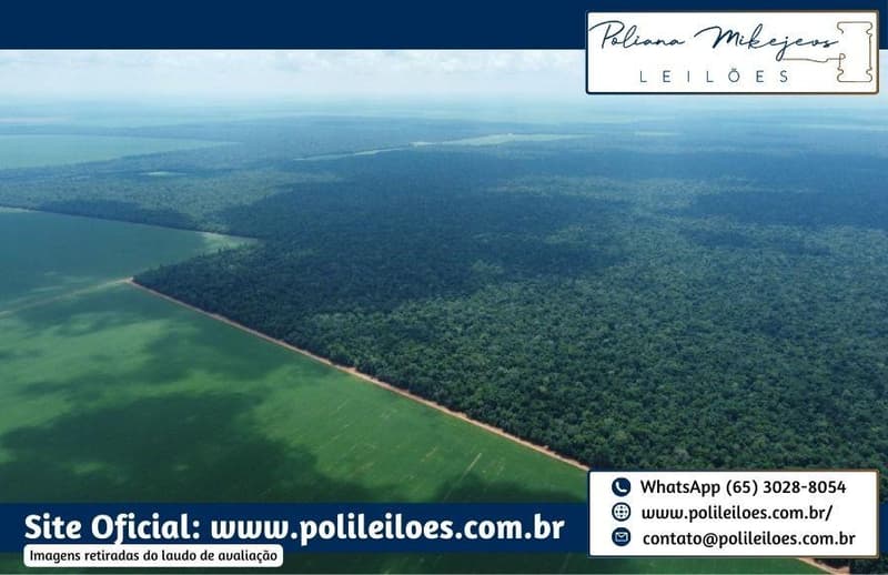 Foto 1 de 6: Area Rural em leilão em Vera - MT — Área Rural, 500ha, Fazenda Bom Retiro II, Gleba Atlântica com a Gleba Capen, no Município de Vera/MT
