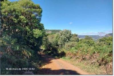 Foto 6 de 14: Area Rural em leilão em Pinhão - PR — Parte ideal de 484,72 hectares,, correspondente a 85,039% da Área rural Medindo 5.700.000,00m2, Localizada no quinhão 1-J, no imóvel Pinhão-Faxinal dos Ribeiros, situado no município e comarca de Pinhão/PR