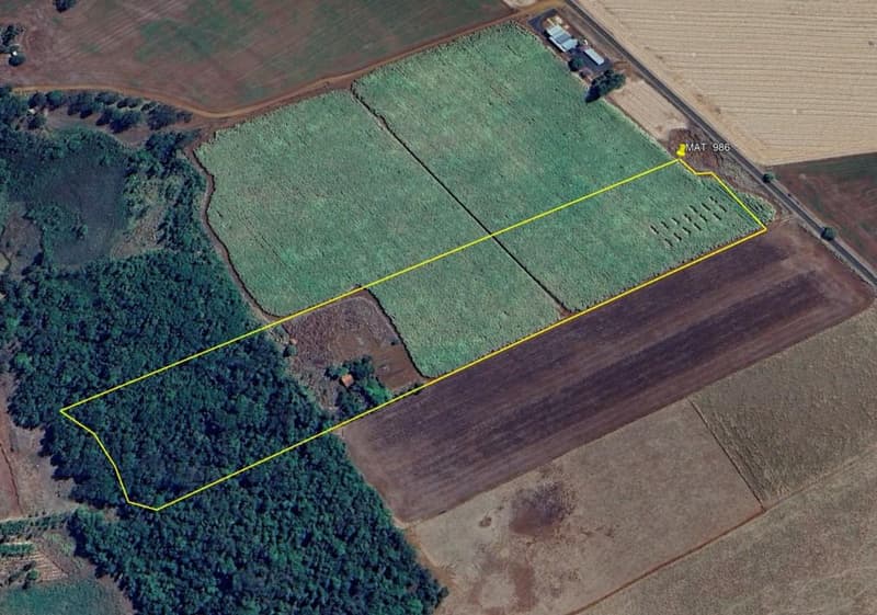 Area Rural em leilão em Vicentinópolis - GO — Lote Agrícola 317ha em Vicentinópolis/GO | Vizinho à Usina Caçu | Topografia Plana e Beira do Asfalto