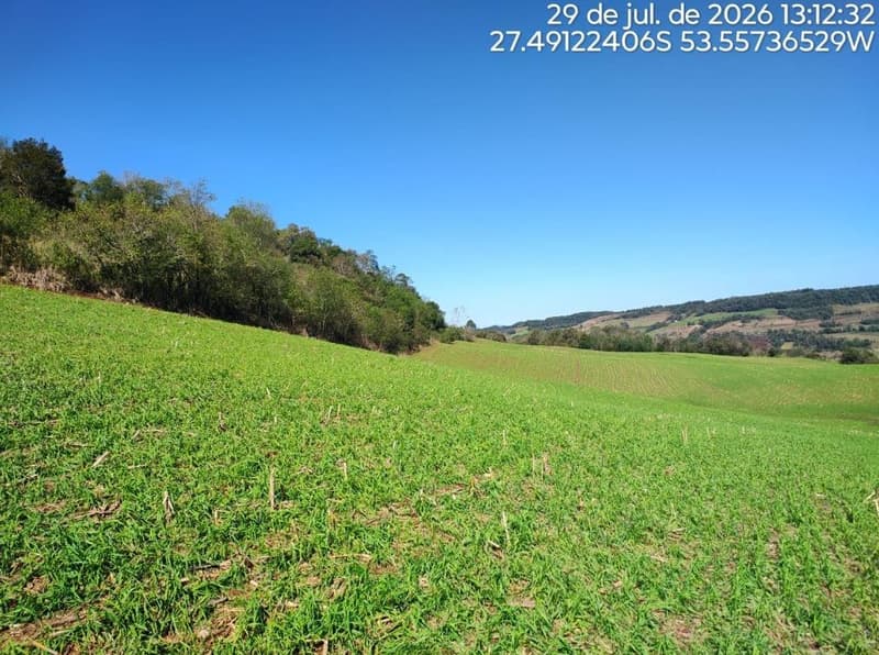 Foto 11 de 16: Terreno em leilão em Erval Seco - RS, bairro Interior — IMÓVEL RURAL COM ÁREA DE de 107.819,20 m2, EM ERVAL SECO/RS