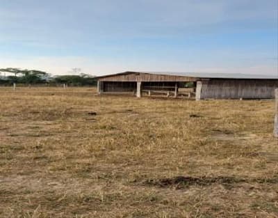 Foto 2 de 7: Area Rural em leilão em Nova Bandeirantes - MT — IMÓVEL RURAL | 202,1749 HA - FAZ. BOM SUCESSO GLEBA B | NOVA BANDEIRANTES/MT
