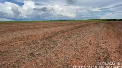Foto 2 de 8: Area Rural em leilão em Tapurah - MT — Fazenda, Ocupado, TAPURAH / MT