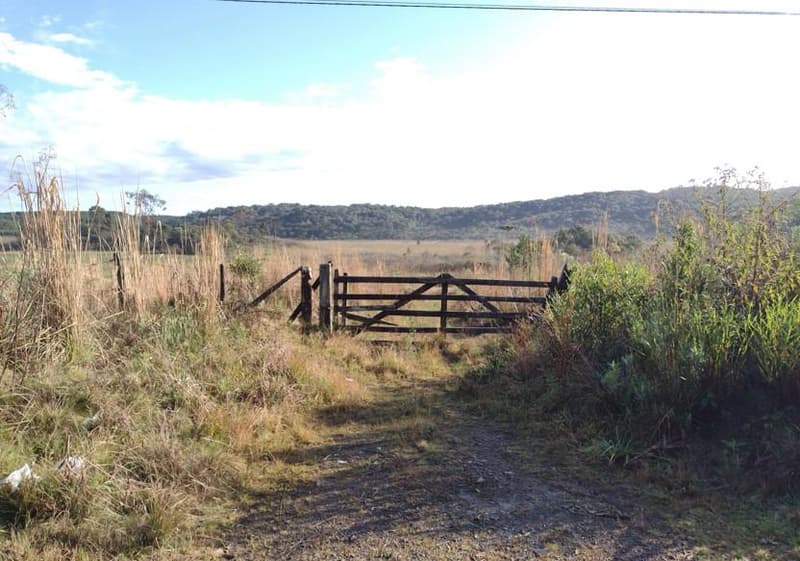 Foto 27 de 50: Terreno em leilão em Irati - PR — Terreno rural com área de 74.282,70m², Irati/PR