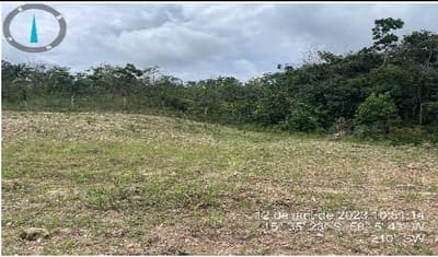 Foto 3 de 3: Area Rural em leilão em Itapuranga - GO — IMÓVEL RURAL | 67.09.07 HECTARES - PECUÁRIA E REFLORESTAMENTO | ITAPURANGA/GO