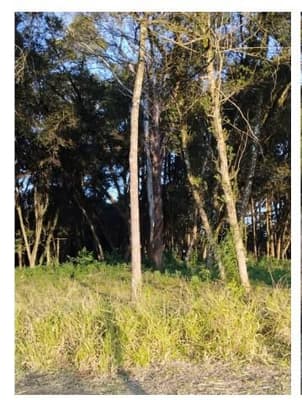 Foto 6 de 10: Terreno em leilão em Curitiba - PR, bairro Umbará — Terreno com área de 110.260,75m² localizado no bairro Umbará em Curitiba - Paraná