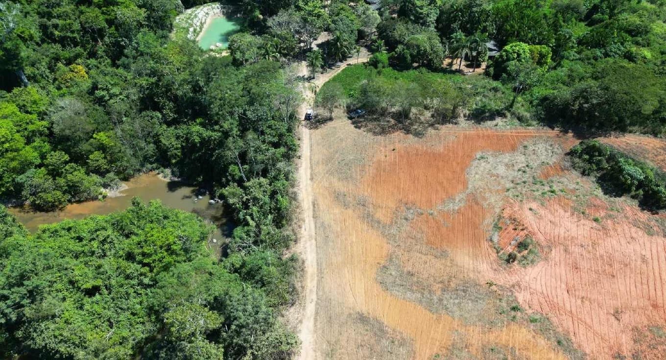 Foto 1 de 5: Area Rural em leilão em Apiacás - MT — IMÓVEL RURAL | A.T. 15.916,00m² | CHÁCARA LE 71 - APIACÁS/MT