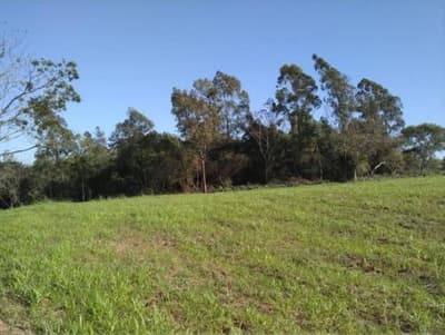 Foto 4 de 10: Area Rural em leilão em Nova Esperança - PR — IMÓVEL RURAL COM ÁREA TOTAL DE 30.548,00 m2 EM NOVA ESPERANÇA-PR