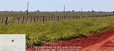 Foto 10 de 12: Area Rural em leilão em Camapuã - MS — 33,33% DO IMÓVEL MAT Nº 24.710 DE CAMAPUÃ/MS