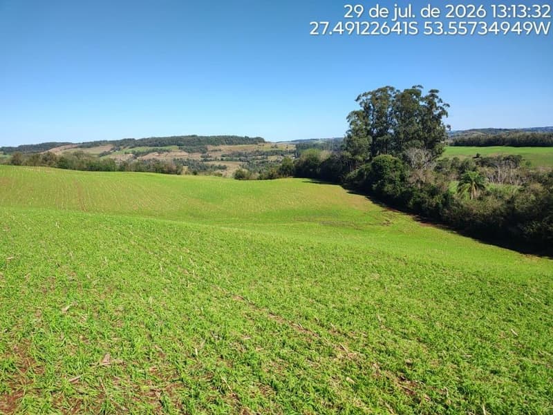 Foto 1 de 16: Terreno em leilão em Erval Seco - RS, bairro Interior — IMÓVEL RURAL COM ÁREA DE de 107.819,20 m2, EM ERVAL SECO/RS