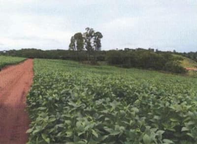 Foto 7 de 9: Area Rural em leilão em Bela Vista De Goiás - GO — IMÓVEIS RURAIS- VENDA CONJUNTA DE DUAS MATRICULAS- Em GOIAS/GO