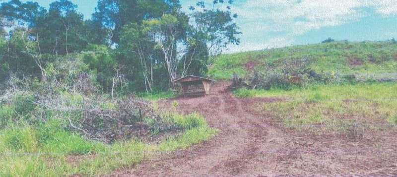 Foto 9 de 24: Area Rural em leilão em Alta Floresta D'oeste - RO — IMÓVEL RURAL | A.T 68,82 HA | ALTA FLORESTA DOESTE/RO