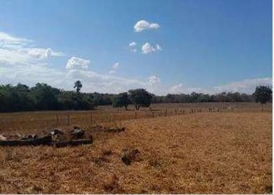 Foto 10 de 21: Area Rural em leilão em Mineiros - GO — IMÓVEL RURAL | A.T. 190,9953 HA | A.C 675 M² | FAZENDA SALTO| MINEIROS/GO