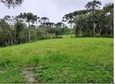 Foto 10 de 24: Area Rural em leilão em Correia Pinto - SC — IMÓVEL RURAL COM ÁREA TOTAL DE 122.223m² - CORREIA PINTO/SC