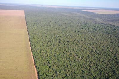 Terreno em leilão em Gaúcha Do Norte - MT — Terreno Rural Desocupado em Gaúcha do Norte/MT