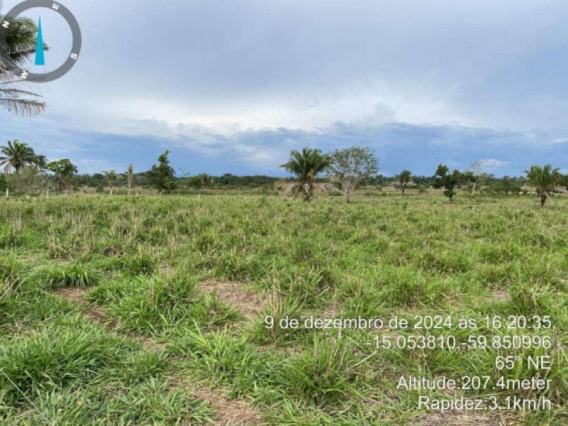 Foto 9 de 10: Area Rural em leilão em Vila Bela Da Santíssima Trindade - MT — Chacara_Sitio, 23.58 ha, Vila Bela da Santíssima Trindade / MT