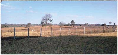 Foto 6 de 7: Area Rural em leilão em Camapuã - MS — FAZENDA ÁGUA BOA, 888 HA, CASA SEDE, CURRAL, GALPÃO, EXCELENTE HIDROGRAFIA EM CAMAPUÃ/MS