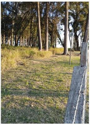 Foto 2 de 10: Terreno em leilão em Curitiba - PR, bairro Umbará — Terreno com área de 110.260,75m² localizado no bairro Umbará em Curitiba - Paraná