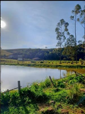 Terreno em leilão em Santa Rita De Caldas - MG — Terreno com área Rrual de 56,49,06 ha, contendo benfeitorias - Santa Rita de Caldas/MG.