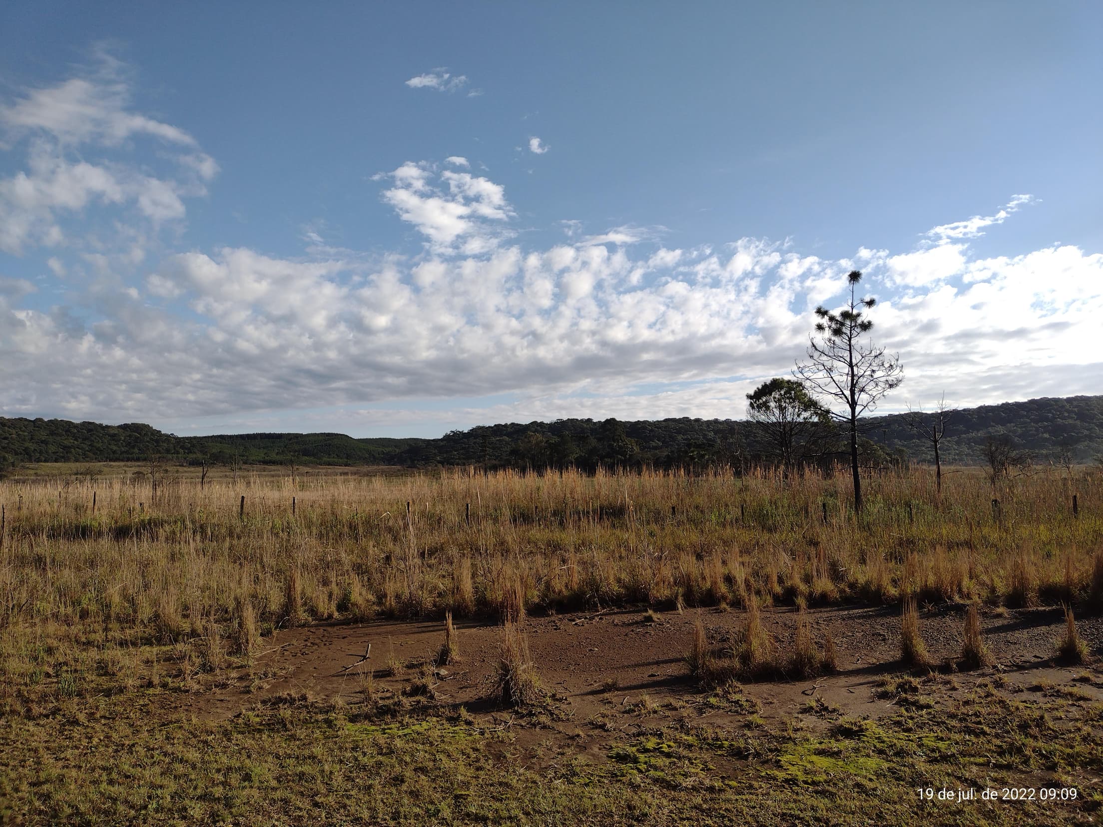 Foto 42 de 50: Terreno em leilão em Irati - PR — Terreno rural com área de 74.282,70m², Irati/PR