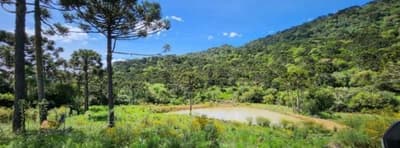 Area Rural em leilão em Urubici - SC — IMÓVEL RURAL COM ÁREA TOTAL DE 20.000,00 m² EM URUBICI-SC