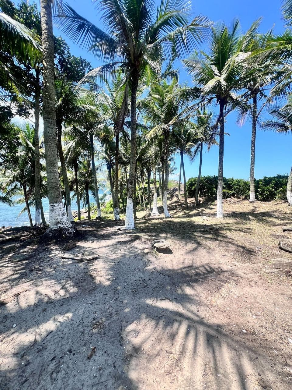Foto 6 de 11: Imóvel em leilão em Guarujá - SP — Ilha com 45.000m² Desocupada no Litoral do Guarujá/SP