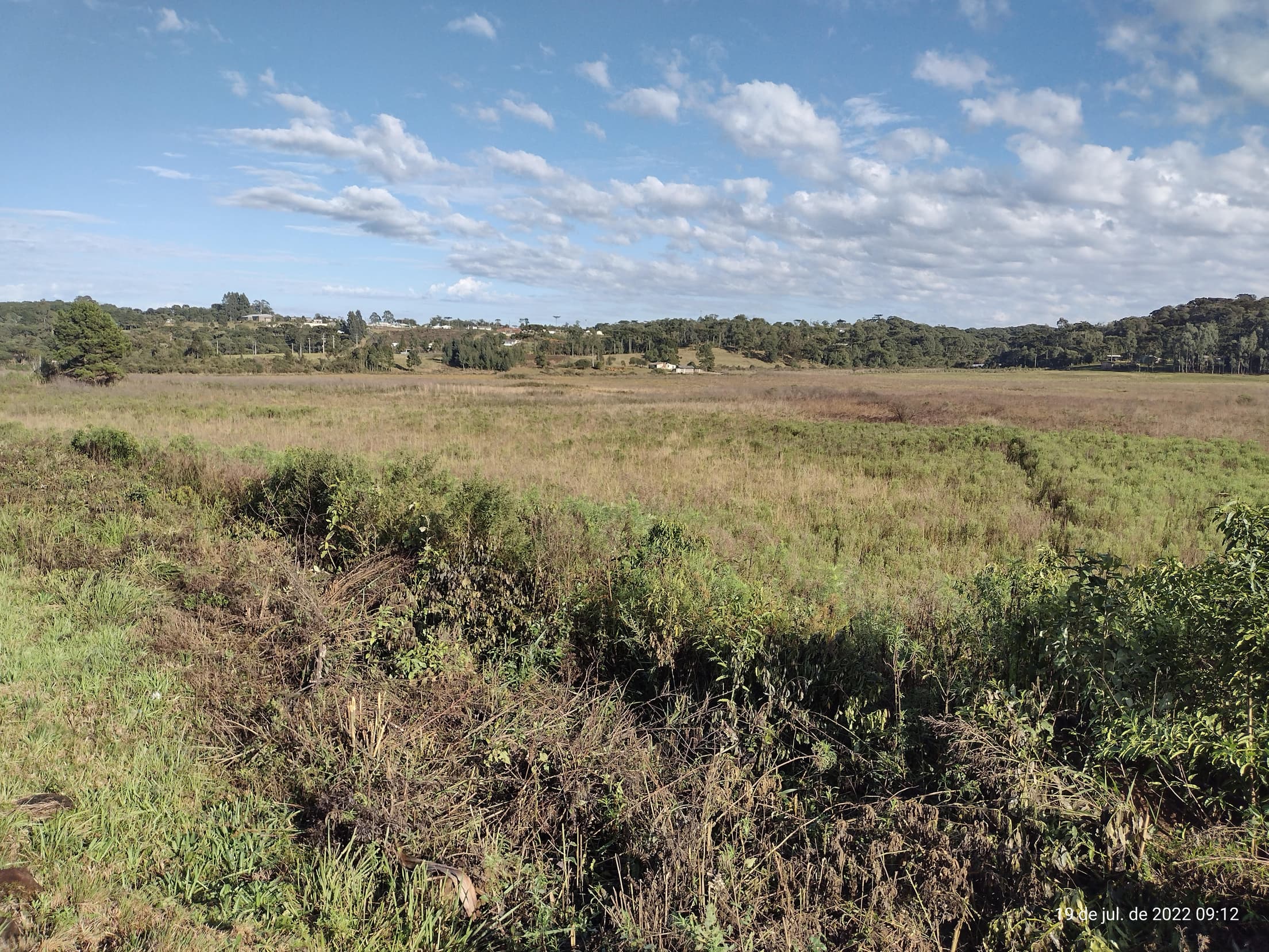 Foto 4 de 50: Terreno em leilão em Irati - PR — Terreno rural com área de 74.282,70m², Irati/PR