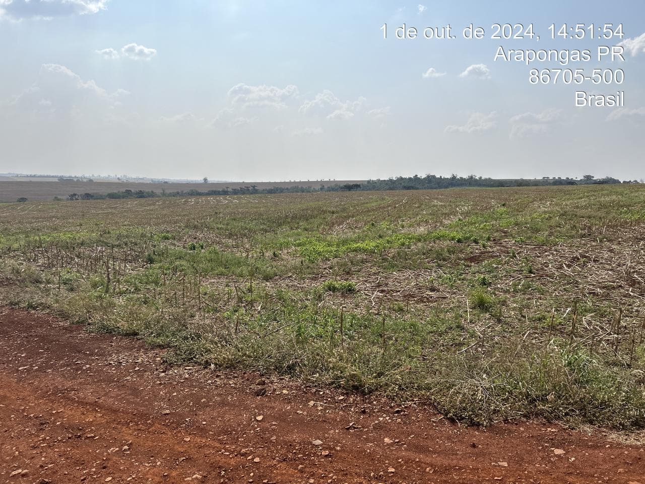 Foto 13 de 21: Area Rural em leilão em Arapongas - PR — Fração ideal de 6,255% do Lote rural, coma área 28100,83m², Arapongas/PR
