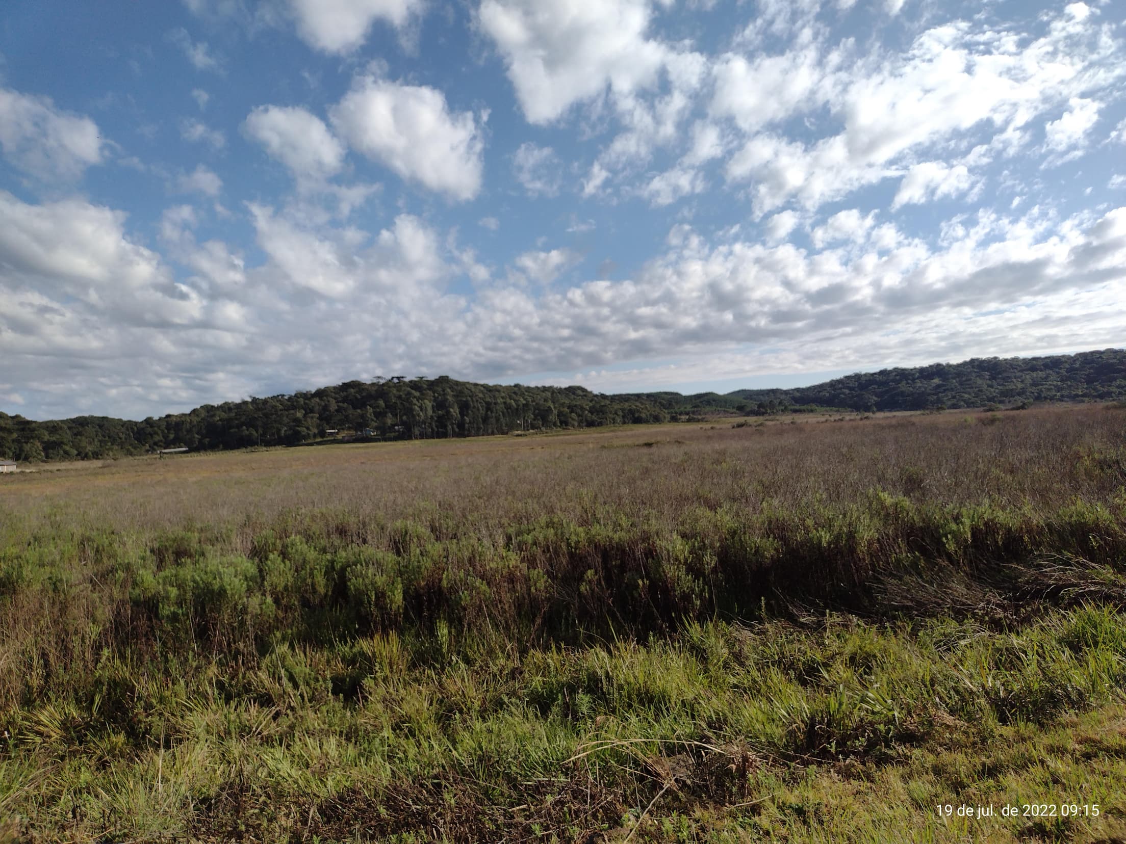 Foto 22 de 50: Terreno em leilão em Irati - PR — Terreno rural com área de 74.282,70m², Irati/PR