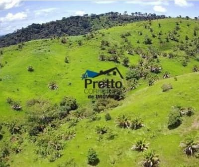 Foto 2 de 10: Area Rural em leilão em Colorado Do Oeste - RO — IMÓVEL RURAL | GLEBA 34 | 45,7370HA - COLORADO DO OESTE/RO