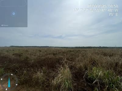 Foto 12 de 28: Area Rural em leilão em Sorriso - MT — IMÓVEL RURAL | 61,6997HA FAZ. SANTA MARIA PARCELA B | EM SORRISO/MT - DESTINAÇÃO PECUÁRIA